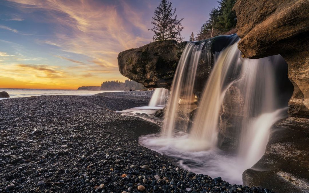 Building Dreams with Integrity: The Orca Homes Difference